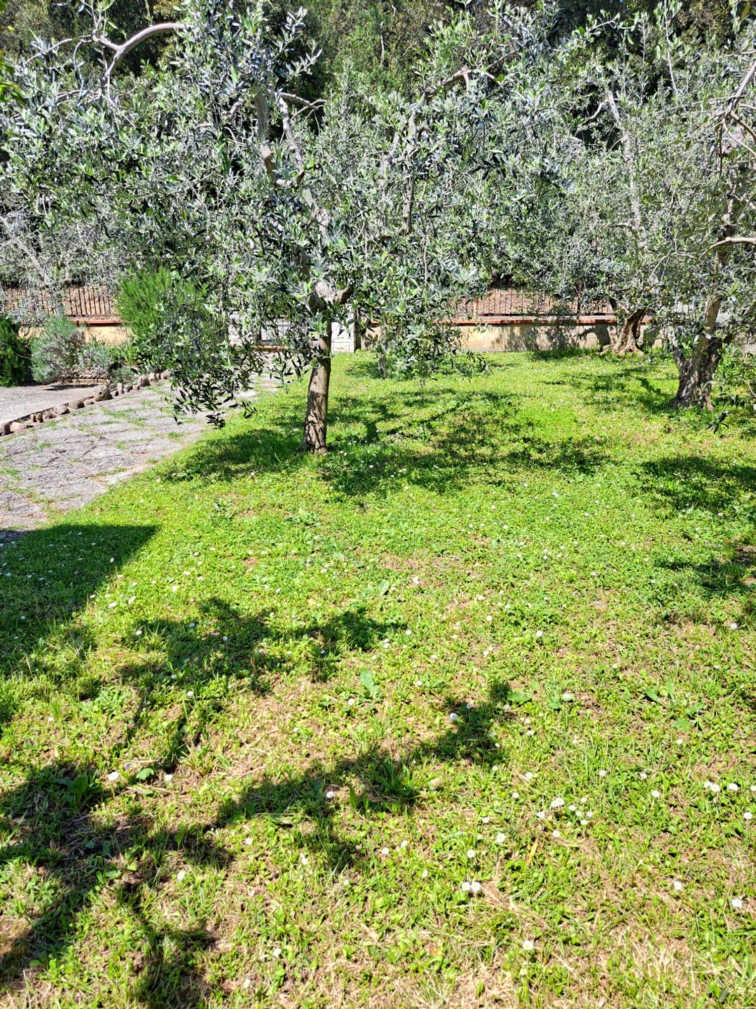 Casa Gli Ulivi Villa Montepulciano Exterior photo