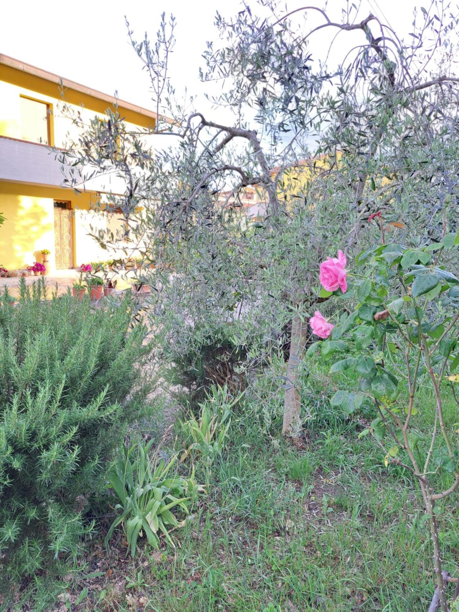 Casa Gli Ulivi Villa Montepulciano Exterior photo